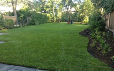 TORONTO LANDSCAPING TIPS FOR A HEALTHY LAWN