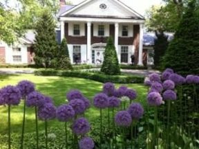 TORONTO LANDSCAPING: BULBS, CORMS AND MORE!