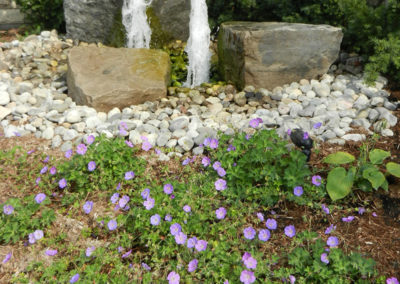 bubbling/rock/Landscape/Design