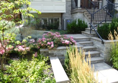 front/yard/roses/landscape/design