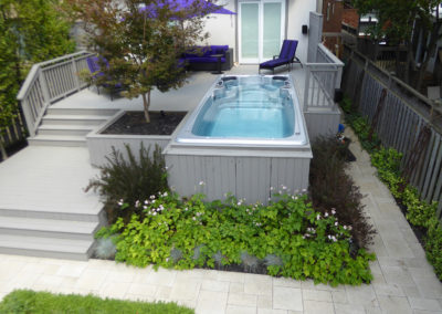 swimspa/deck/woodworks/landscape/design