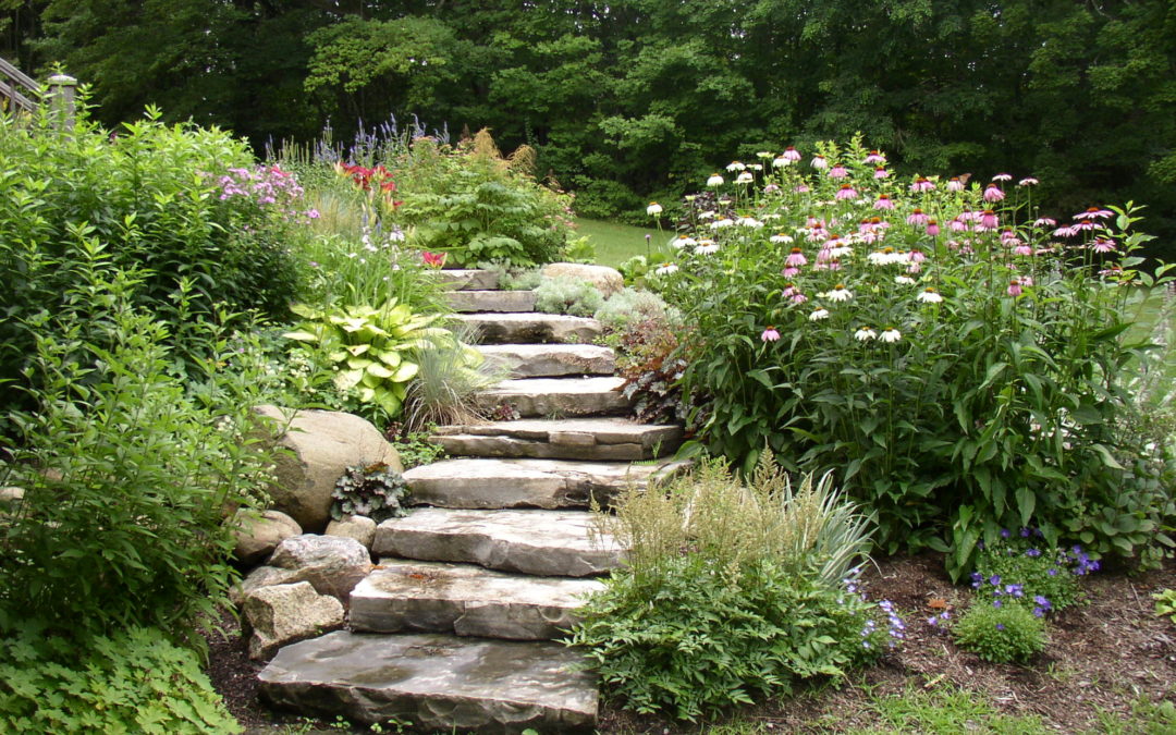 NATURAL LANDSCAPE DESIGN